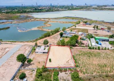 Land For Sale In Pattaya