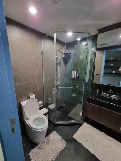 For RENT : Circle Condominium / 2 Bedroom / 2 Bathrooms / 75 sqm / 40000 THB [11005116]