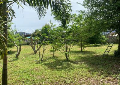 Bangsaray Beach Side Land Plot for Sale