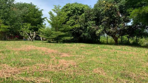 Bangsaray Beach Side Land Plot for Sale