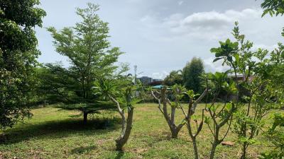 Bangsaray Beach Side Land Plot for Sale