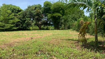 Bangsaray Beach Side Land Plot for Sale