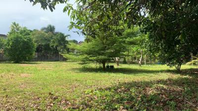 Bangsaray Beach Side Land Plot for Sale