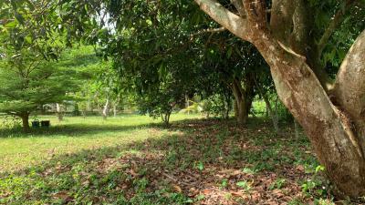 Bangsaray Beach Side Land Plot for Sale