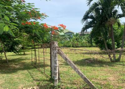 Bangsaray Beach Side Land Plot for Sale