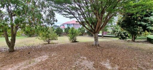 House on 5 Rai Land Plot for Sale in Pong