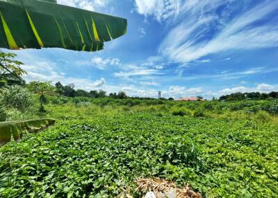 11 Rai Beautiful Land Plot for in Pattaya Sale