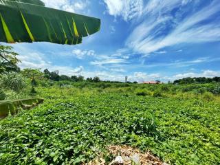 11 Rai Beautiful Land Plot for in Pattaya Sale