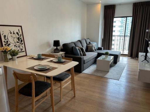 For Rent Bangkok Condo Noble Refine Sukhumvit 26 BTS Phrom Phong Khlong Toei