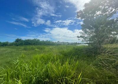 Huai Yai Beautiful Land plot for Sale