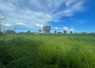 Huai Yai Beautiful Land plot for Sale