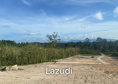 Prime 1600 SQ.M Land with Options Galore