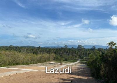Prime 1600 SQ.M Land with Options Galore