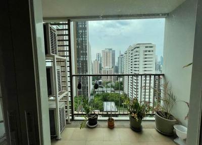 For Sale and Rent Bangkok Condo 15 Sukhumvit Residences Sukhumvit 15 BTS Nana Watthana