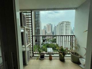 For Sale and Rent Bangkok Condo 15 Sukhumvit Residences Sukhumvit 15 BTS Nana Watthana