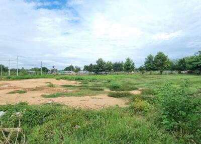 Tungklom Ta-Man Area Land for Sale