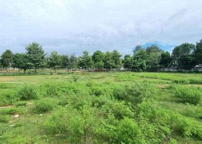 Tungklom Ta-Man Area Land for Sale