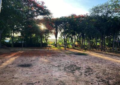 Beautiful Land for Sale at Mabprachan