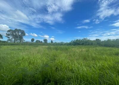 Huai Yai Beautiful Land plot for Sale
