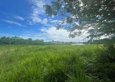Land plot in Huai Yai Area for Sale