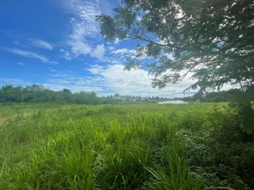 Land plot in Huai Yai Area for Sale