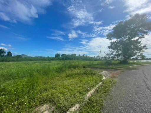 Land plot in Huai Yai Area for Sale