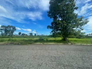 Beautiful Land for Sale in Huai Yai Area