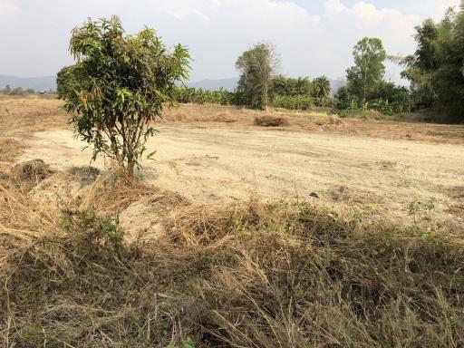 5+ Rai of Beautiful Land For Sale in Mae Kasa, Mae Sot, Tak, Thailand