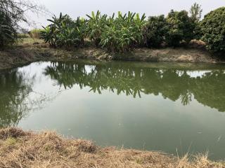 5+ Rai of Beautiful Land For Sale in Mae Kasa, Mae Sot, Tak, Thailand