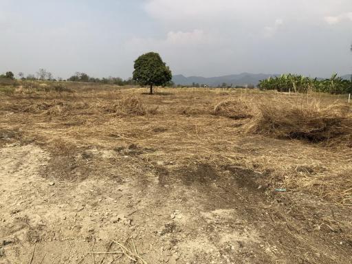 5+ Rai of Beautiful Land For Sale in Mae Kasa, Mae Sot, Tak, Thailand