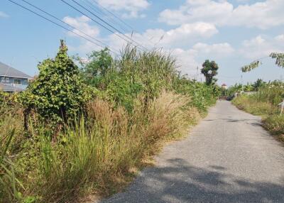 Land for Sale in Bang Saray