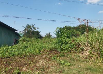 Land for Sale in Bang Saray