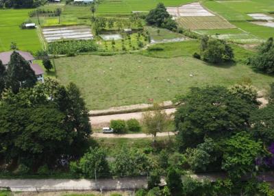 Land for sale with mountain view in Mae On, San Kamphaeng, Chiang Mai