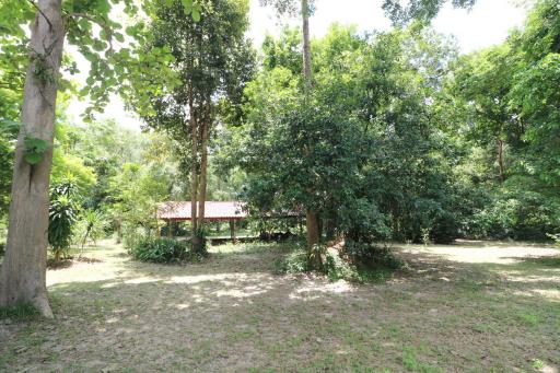 Experience Eco-Tourism Bliss: Remarkable Home & 64+ Rai Land for Sale in Nakhon Phanom, Thailand - A Green Paradise Awaits.