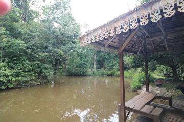 Experience Eco-Tourism Bliss: Remarkable Home & 64+ Rai Land for Sale in Nakhon Phanom, Thailand - A Green Paradise Awaits.