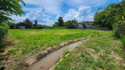 Land In Mae Rim - MaeJo Ready For Building