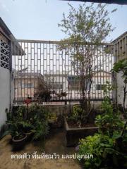 For Rent Bangkok Shophouse Sukhumvit BTS Phra Khanong Watthana