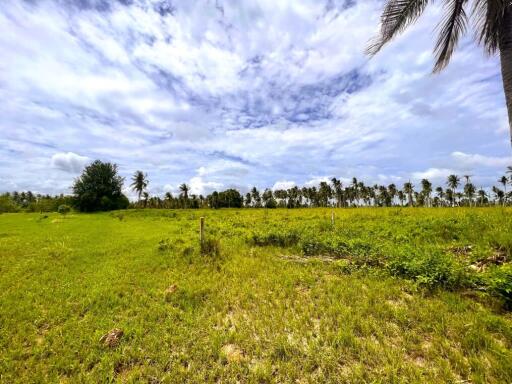 Land 3 Rai in Huay Yai