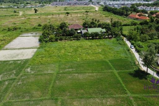 Land for sale 1 Rai 3 Ngan 65.9 Sqw at Nong Chom, Sansai ,Chiang Mai