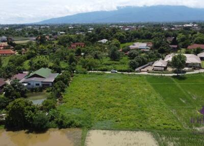 Land for sale 1 Rai 3 Ngan 65.9 Sqw at Nong Chom, Sansai ,Chiang Mai