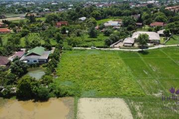 Land for sale 1 Rai 3 Ngan 65.9 Sqw at Nong Chom, Sansai ,Chiang Mai