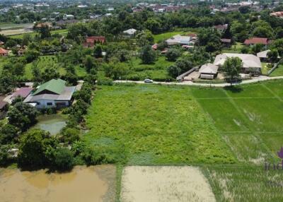 Land for sale 1 Rai 3 Ngan 65.9 Sqw at Nong Chom, Sansai ,Chiang Mai