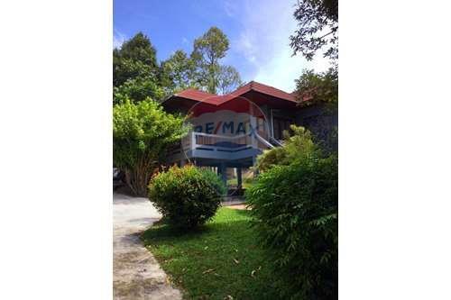 House for sale ready to move in Maret , Koh Samui , Surat Thani