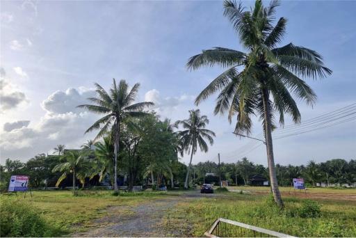 LAND FOR SALE IN KLAI THA SALA NAKHON SI THAMMARAT