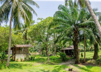 ขาย รีสอร์ทริมหาดพร้อมดำเนินกิจการต่อ อ.ท่าศาลา,นครศรีฯ