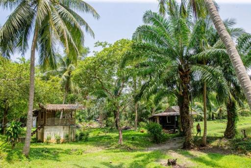 ขาย รีสอร์ทริมหาดพร้อมดำเนินกิจการต่อ อ.ท่าศาลา,นครศรีฯ