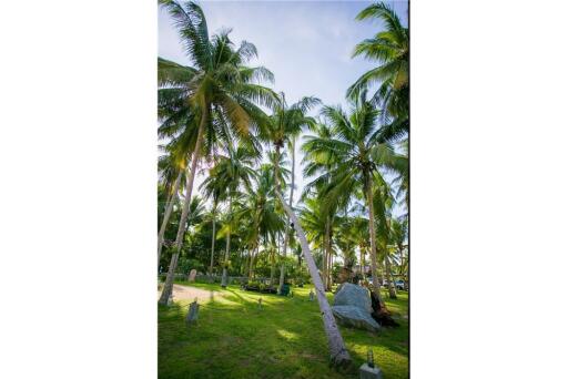 ขาย รีสอร์ทริมหาดพร้อมดำเนินกิจการต่อ อ.ท่าศาลา,นครศรีฯ