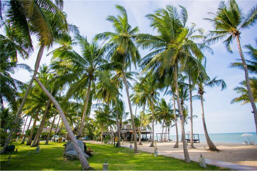 ขาย รีสอร์ทริมหาดพร้อมดำเนินกิจการต่อ อ.ท่าศาลา,นครศรีฯ