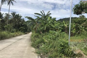 Land for Sale: Mountain View @ Mae Nam - 920121018-219