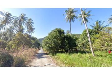 Land for Sale: Mountain View @ Mae Nam - 920121018-219